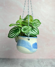Load image into Gallery viewer, Hanging Planter - Tropics