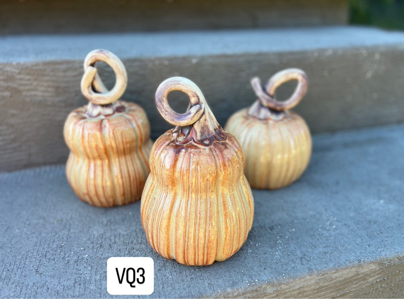 Pumpkins and Gourds