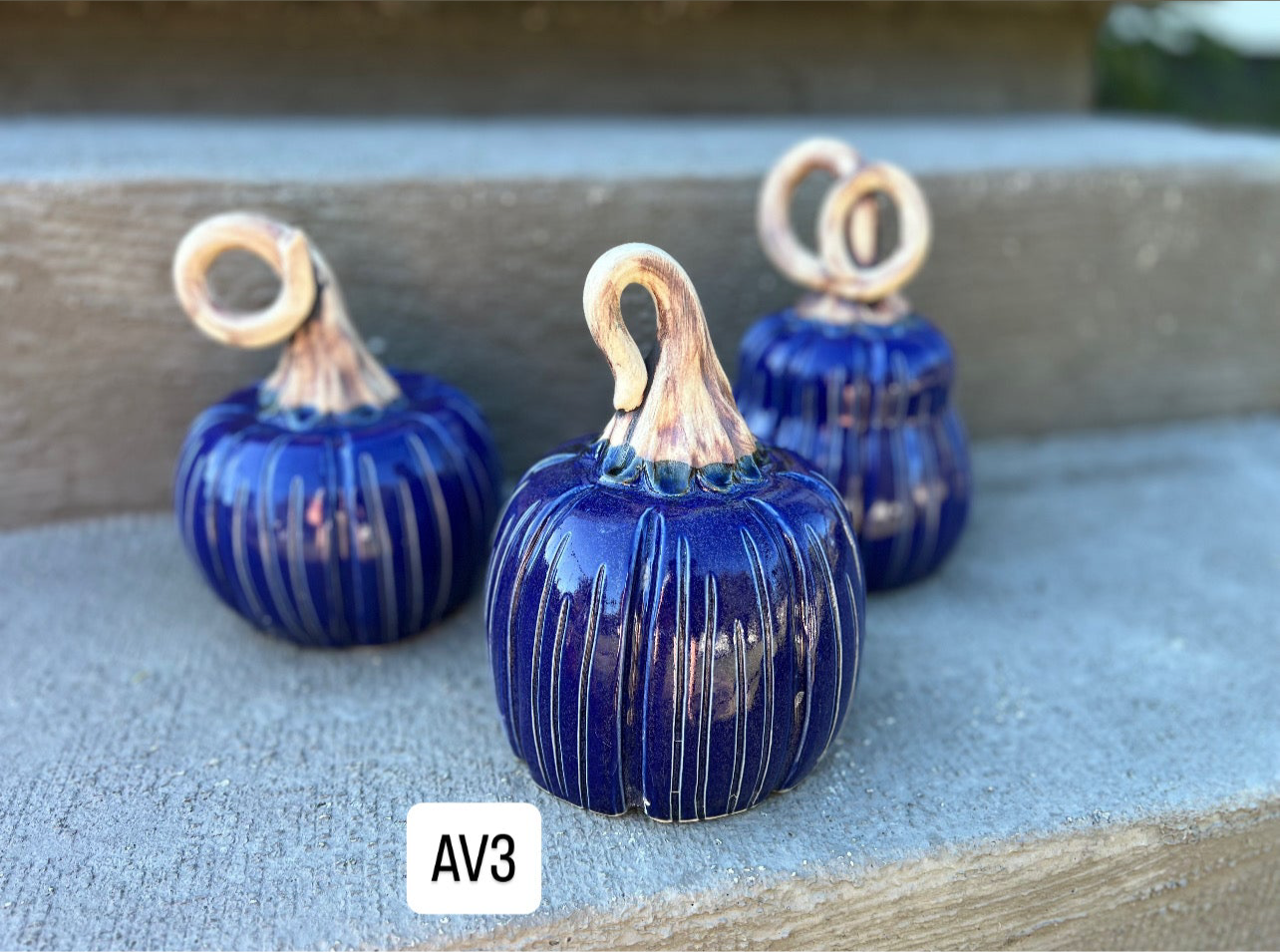 Pumpkins and Gourds