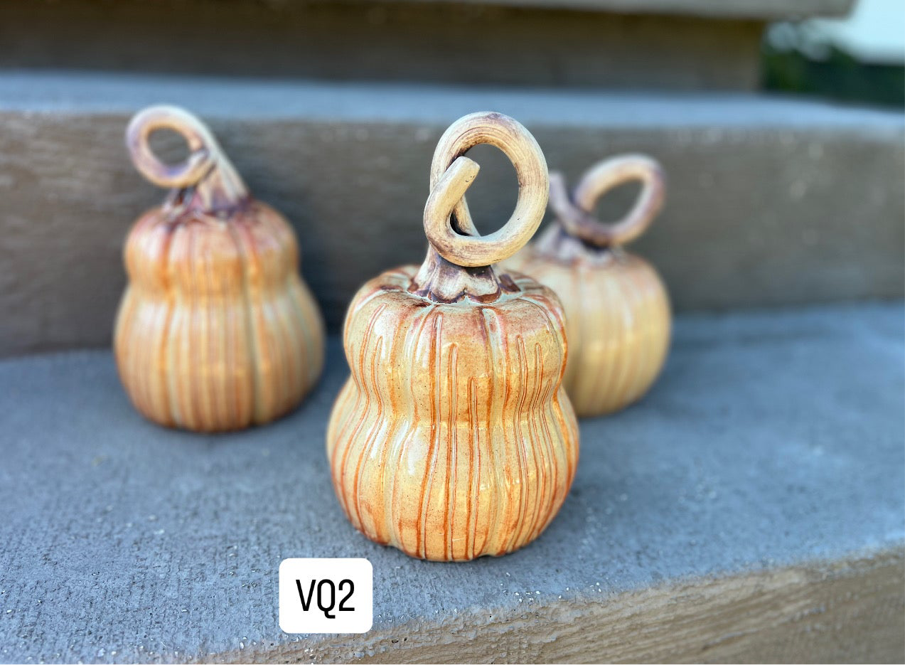 Pumpkins and Gourds