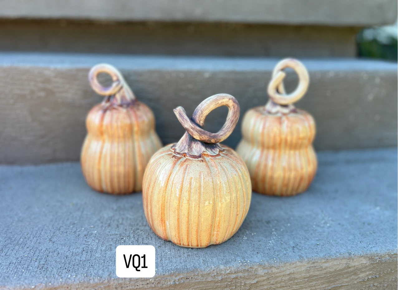 Pumpkins and Gourds