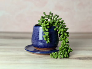 Bulb Planter - Plain Jane