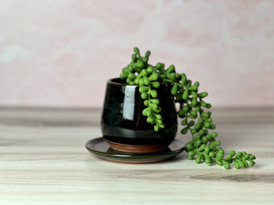 Bulb Planter - Plain Jane