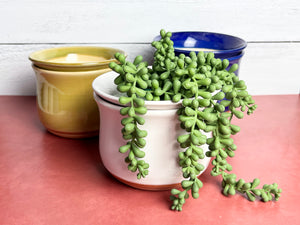 Nana Planter (bottom watering) - Plain Jane