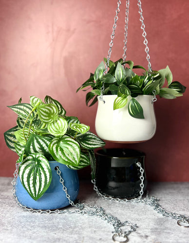 Hanging Planter - Plain Jane