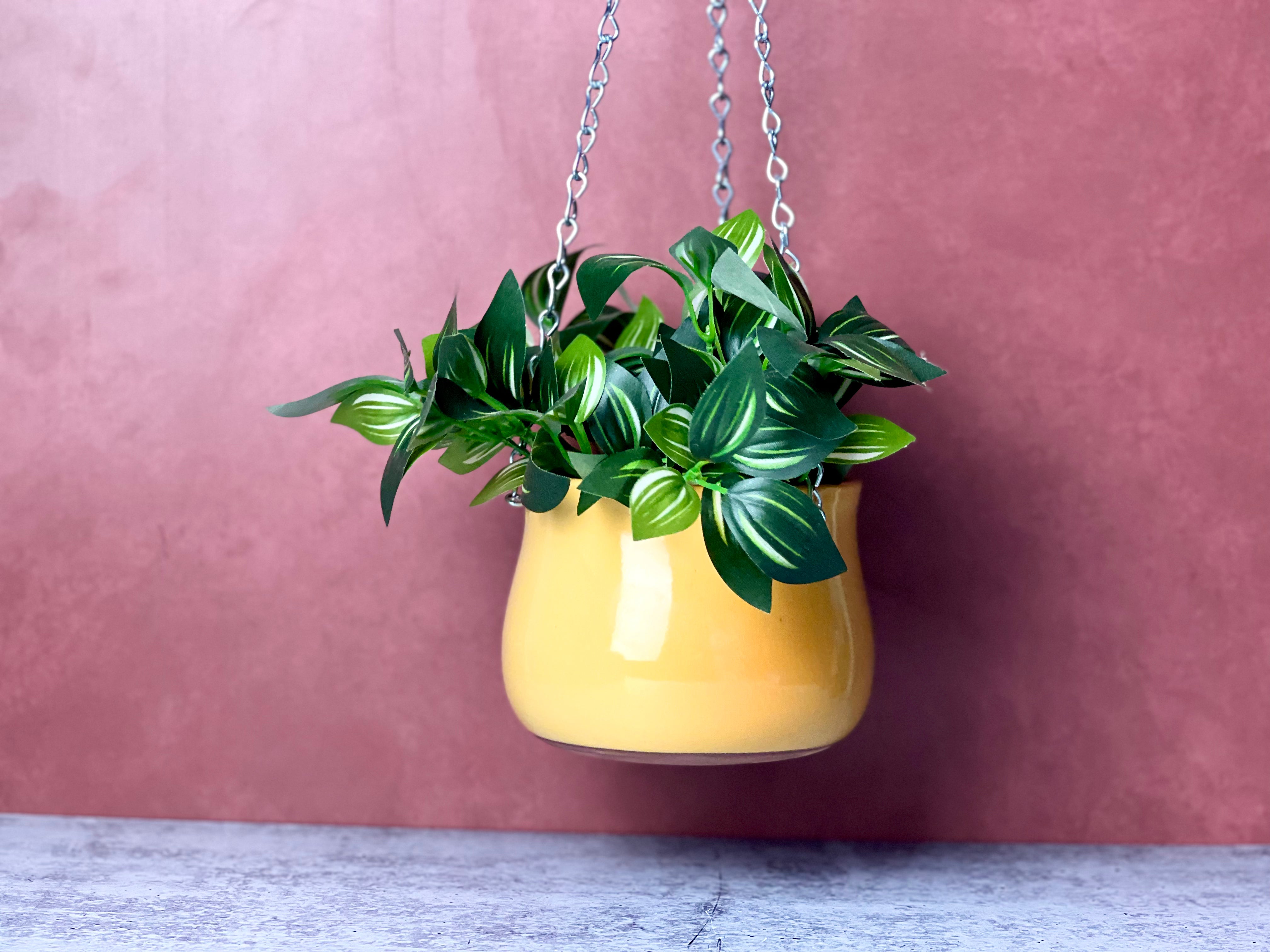 Hanging Planter