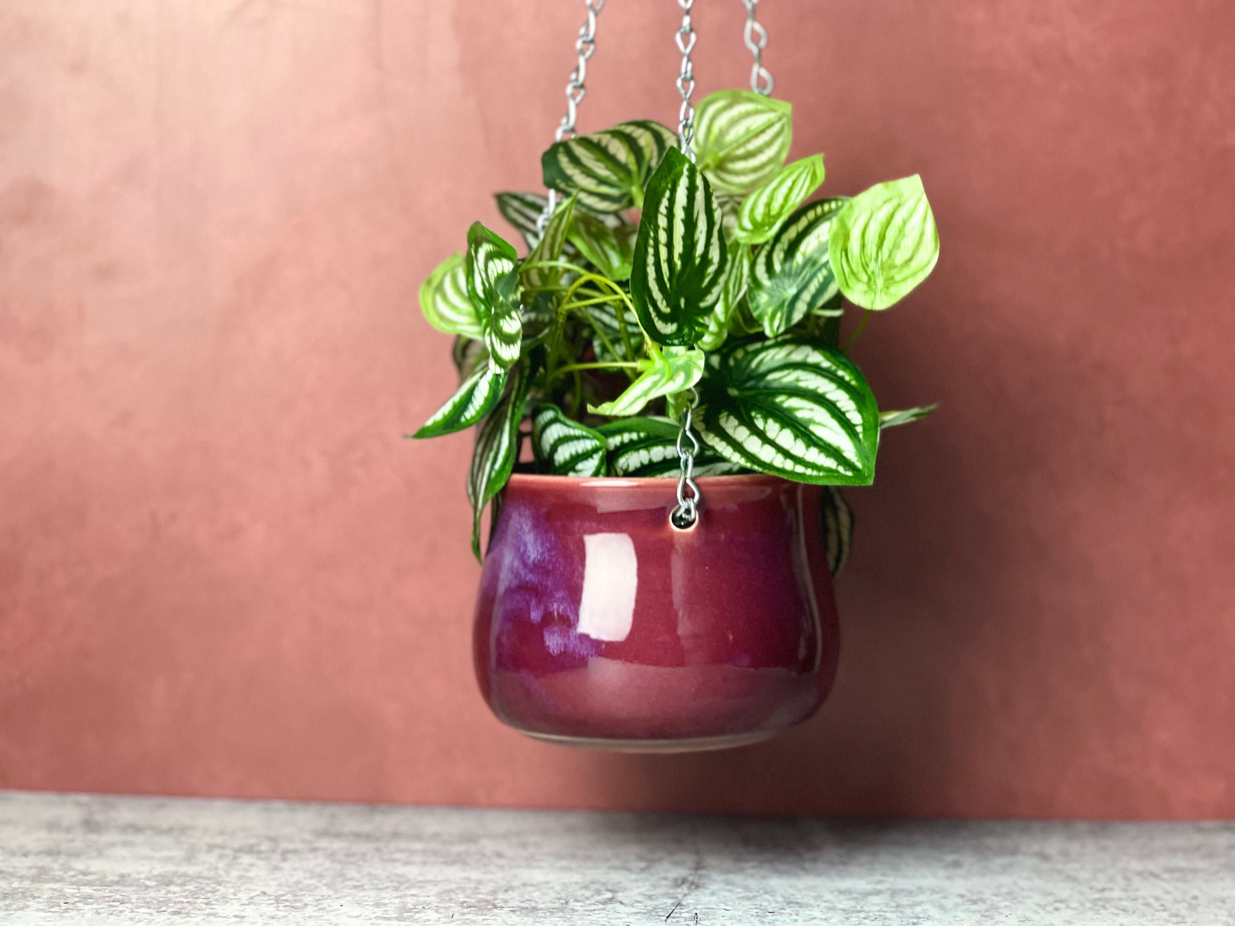 Hanging Planter