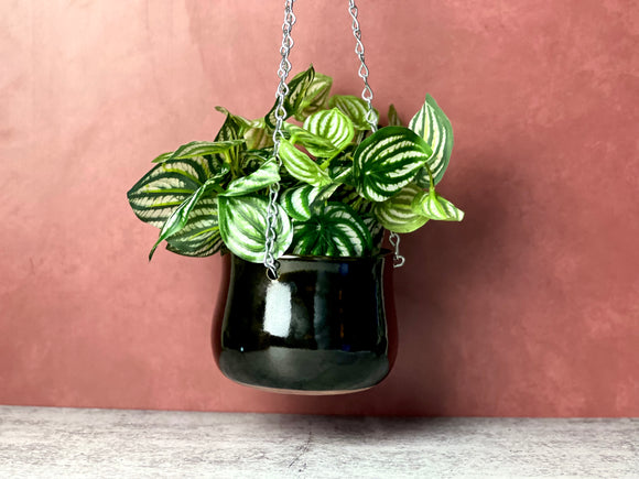 Hanging Planter