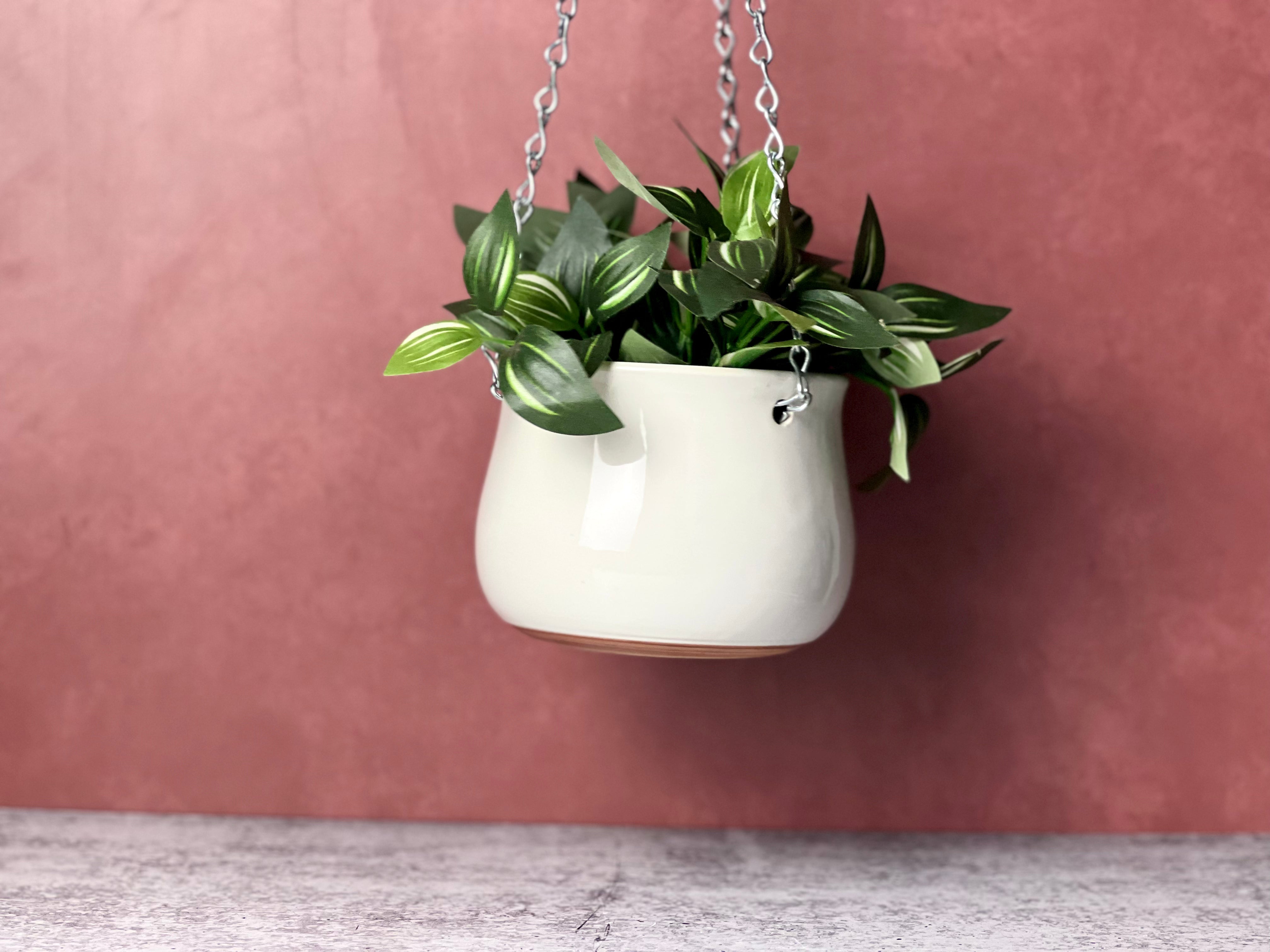 Hanging Planter