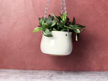 Load image into Gallery viewer, Hanging Planter - Plain Jane