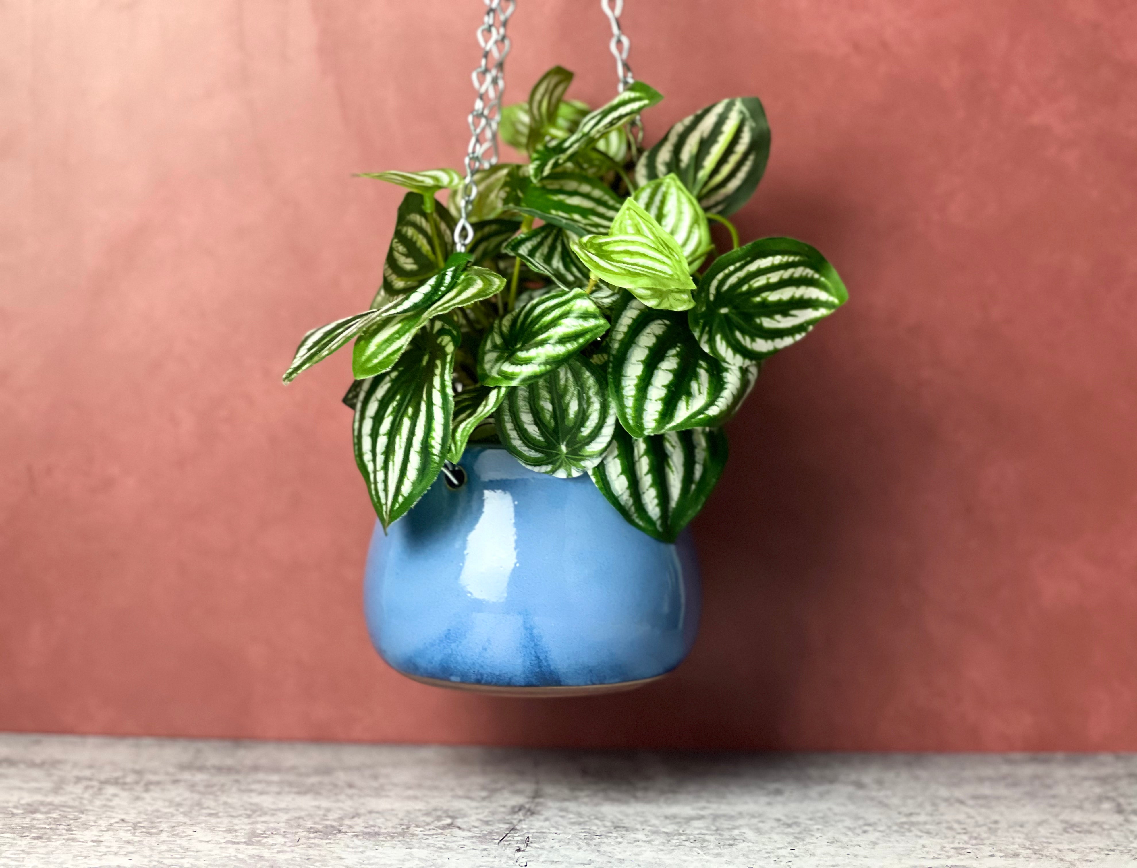 Hanging Planter