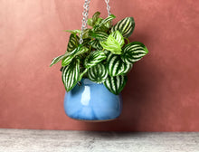 Load image into Gallery viewer, Hanging Planter - Plain Jane