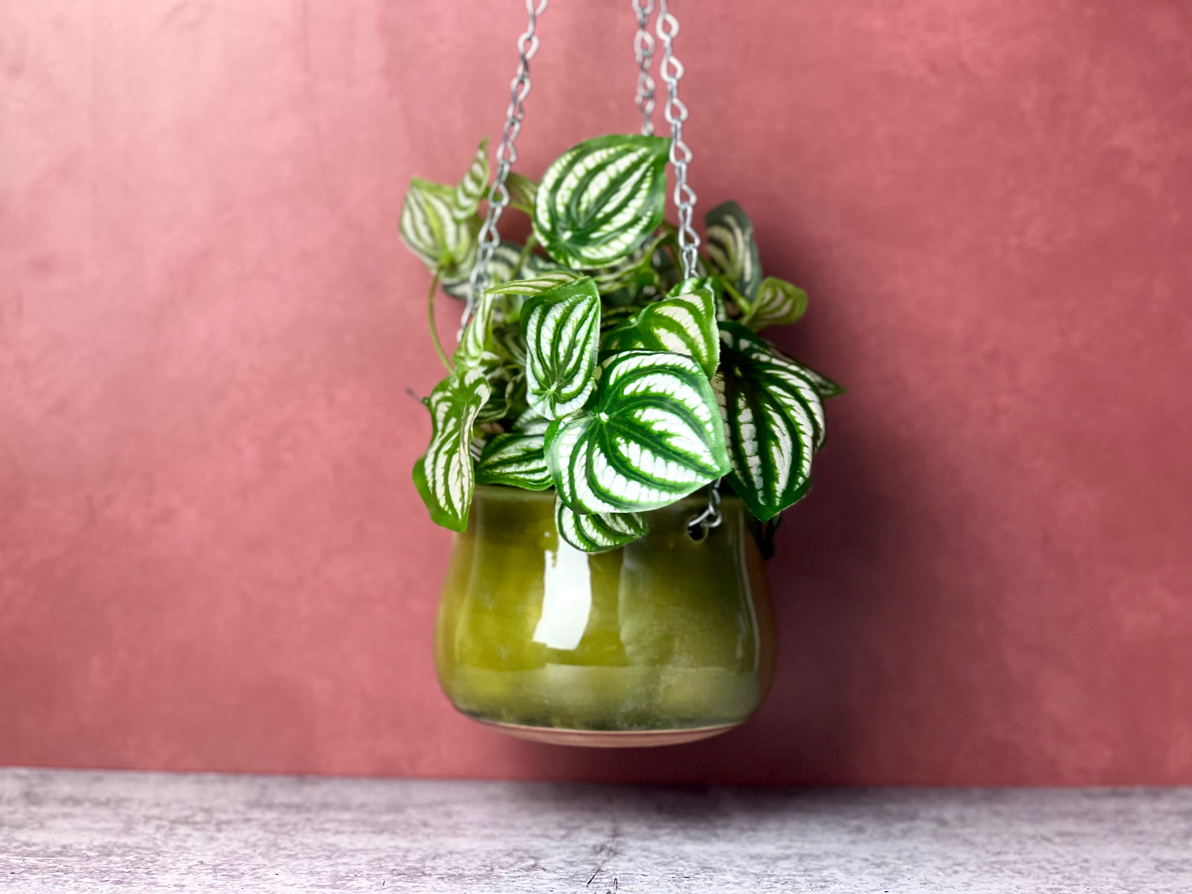Hanging Planter
