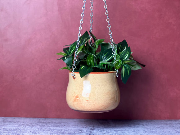 Hanging Planter