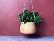 Load image into Gallery viewer, Hanging Planter - Plain Jane
